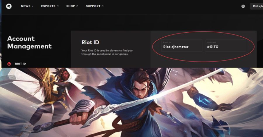 Account management của Riot Games